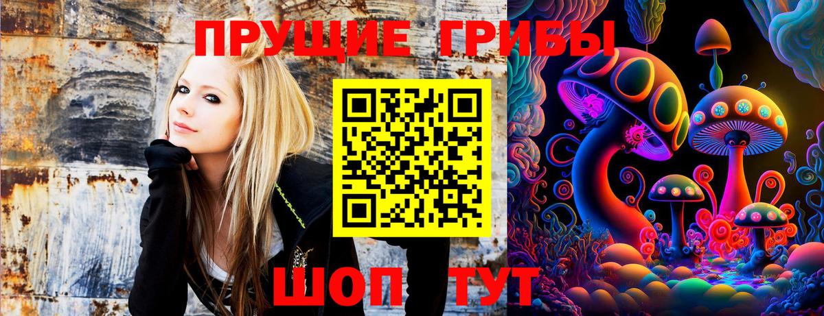 Воркута  Галлюциногенные грибы Psilocybine cubensis  Вход с VPN  Галлюциногенные грибы мухоморы 